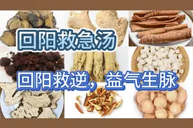 回阳救急汤，是四逆汤和六君子汤的组合，再加上麝香五味子肉桂等视频封面