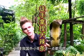 外国小哥手持眼镜王蛇，下一秒差点归西。视频封面