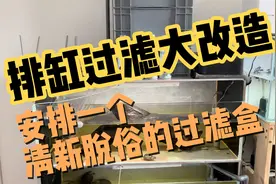 ［养龟日常］～养龟人的日常不断折腾，改造排缸过滤，焕然一新！视频封面