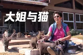 这位大姐真疯狂，家里养了几百只流浪猫，每天人猫共享天伦之乐