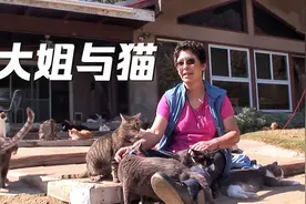 这位大姐真疯狂，家里养了几百只流浪猫，每天人猫共享天伦之乐视频封面