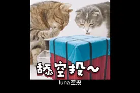 luna最新消息视频封面