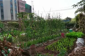 穿高跟鞋不是舒服是个子不高,10公分的高跟鞋走路上班您觉得累吗视频封面