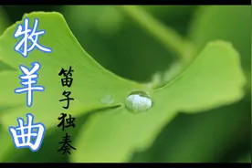 笛子《牧羊曲》纯音乐，角音养肝，解郁去烦，清肝明目，陶冶性情视频封面