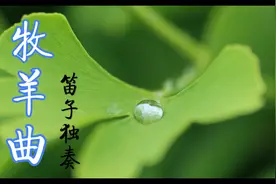 笛子《牧羊曲》纯音乐，角音养肝，解郁去烦，清肝明目，陶冶性情视频封面