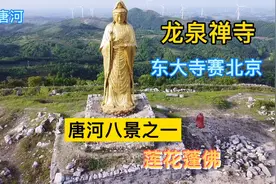 南阳唐河八景之一，莲花蓬佛，龙泉禅寺，有这东大寺赛北京之美誉视频封面
