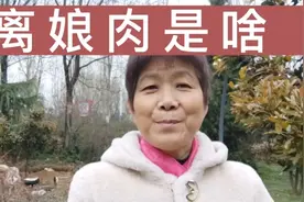 离娘肉是啥视频封面