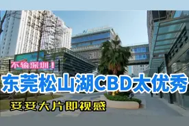 广东硅谷！东莞松山湖CBD太优秀，大片即视感不输深圳视频封面