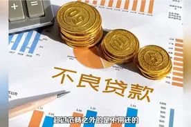 违法贷款不用还视频封面
