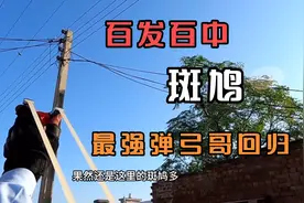 最强的弹弓！久违的弹弓哥和大胡子叔、今天格外开心视频封面
