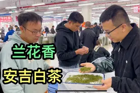 大鹏收下150斤正宗安吉白茶，有浓浓的兰花香，性价比很高视频封面