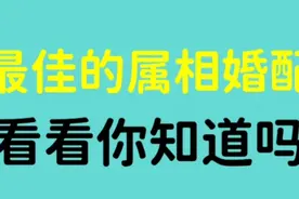 12生肖中的最佳属相婚配  看看你知道吗视频封面