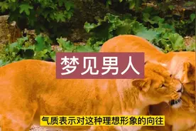 梦见男孩。视频封面