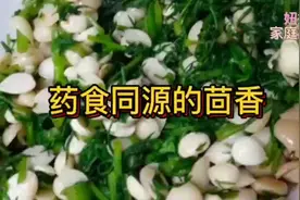 茴香能清血管、暖胃寒、固肾阳…赶紧来看看吧～视频封面