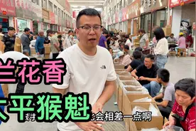 为了兰花香太平猴魁，大鹏来到黄山源头市场，终于拿下45斤视频封面