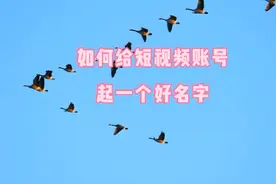 如何给短视频账号起一个好名字视频封面