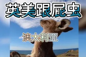 澳大利亚到底有多没自信，不是认英国作义父就是给美国当儿子视频封面