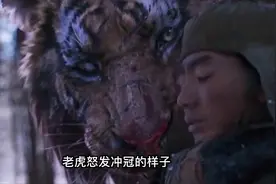 男人放生了两只小老虎，多年后，虎王竟然在狼群中救了他儿子一命视频封面