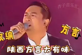 改编配音歌曲：张嘉译王二妮演唱陕西方言歌曲，太好听了！视频封面