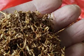 烟丝怎么调制调香 烟丝发酵和调香技巧介绍视频封面