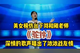 美女当面模仿刘和刚老师《驼铃》深情的歌声唱出浓浓战友情（配音