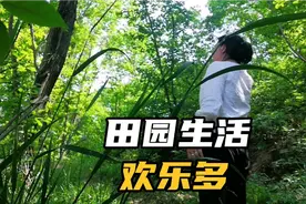 腐烂的叶子就是很好有机肥料，种菜养花不能少，省了买肥料的钱。视频封面