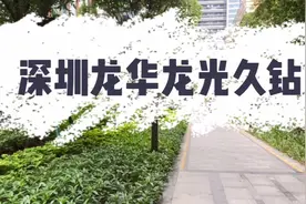浏览了深圳龙华龙光久钻花园的风光，还碰到一个老外，普通话很准视频封面