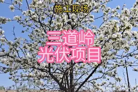 新旧更替，周而复始。视频封面