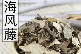 海风藤功效为祛风湿，通经络，理气止痛，作用为治疗风寒湿关节僵视频封面