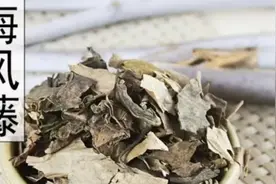 海风藤功效为祛风湿，通经络，理气止痛，作用为治疗风寒湿关节僵