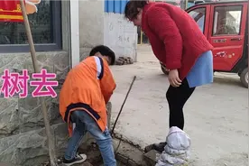 天暖和了，把门口的香椿树挪下来栽院子里去，把根铲断了还能活吧视频封面