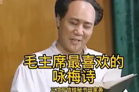 毛主席最喜欢的诗高启的咏梅视频封面