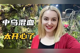 乌克兰媳妇在中国，带混血宝宝看云南最大的天空森林自然博物馆！视频封面