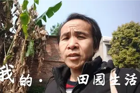 搞笑剧:装狗的人终于可以出来了