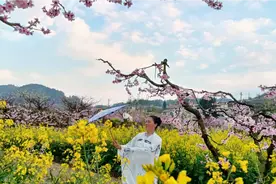 永乐乡赏桃花 舞伴桃花飞  人面桃花相映红视频封面