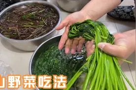 东北山野菜怎么做才好吃？老妈展示传统吃法，简单美味一看就会视频封面