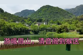 乐山到峨眉山公交车全程5元，乐山到猴区全程带大家领略美景看猴视频封面
