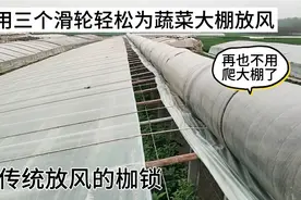 推翻传统放风枷锁，利用三个滑轮轻松为温室大棚防风，乡下大棚用视频封面