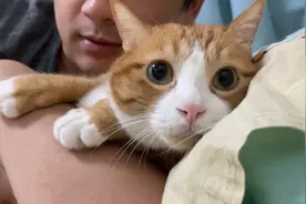 咪猫：”救救我救救我救救我救救我 眨眼眨眼眨眼”视频封面