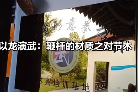 『以龙演武』鞭杆的材质之二：对节木