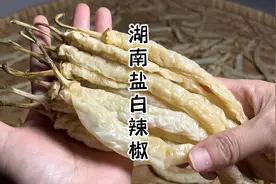 这个季节的青椒吃不完，做成湖南特色的坛香白辣椒，做一次吃一年视频封面