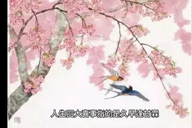人生四大喜事指的是哪四件视频封面