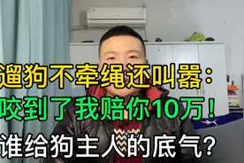 武汉狗主人遛狗不牵绳还叫嚣：咬到了我赔你10万！谁给你的底气？视频封面
