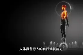 人体的自我修复能力视频封面