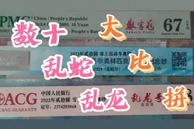 数十、乱龙和乱蛇表面看起来差不多，但价值相差几十倍，别混淆了