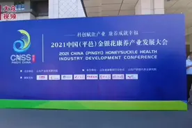 视频｜2021中国（平邑）金银花康养产业发展大会开幕图片