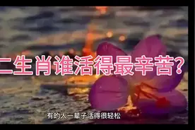 十二生肖谁活得最辛苦？视频封面