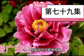 国学经典—增广贤文（七十九）视频封面