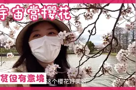 漫步东京水元公园赏樱花、沉浸式体验景色太美了、解说都激动了视频封面