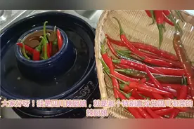 泡辣椒不烂不空心，泡菜坛不生花，川妹子教你3个小技巧视频封面